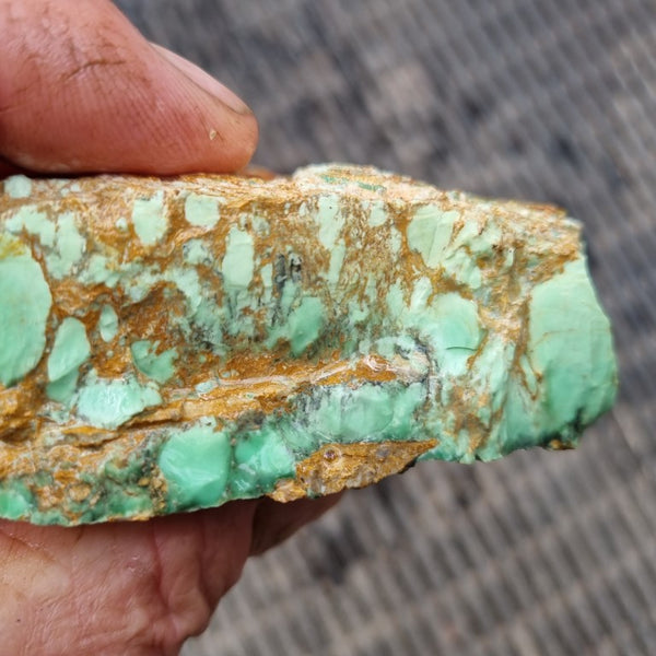 Variscite rough. VR495