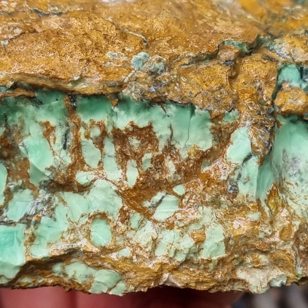 Variscite rough. VR495