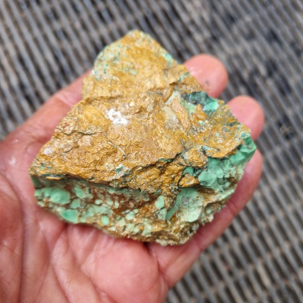 Variscite rough. VR495