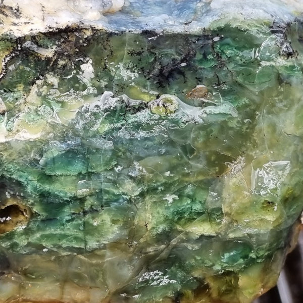 Green Opal  rough.  GOR 107