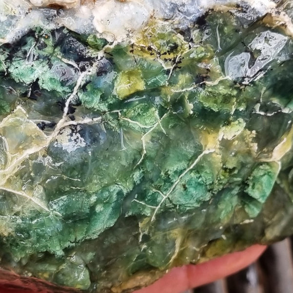 Green Opal  rough.  GOR 107