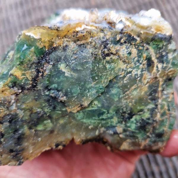 Green Opal  rough.  GOR 107