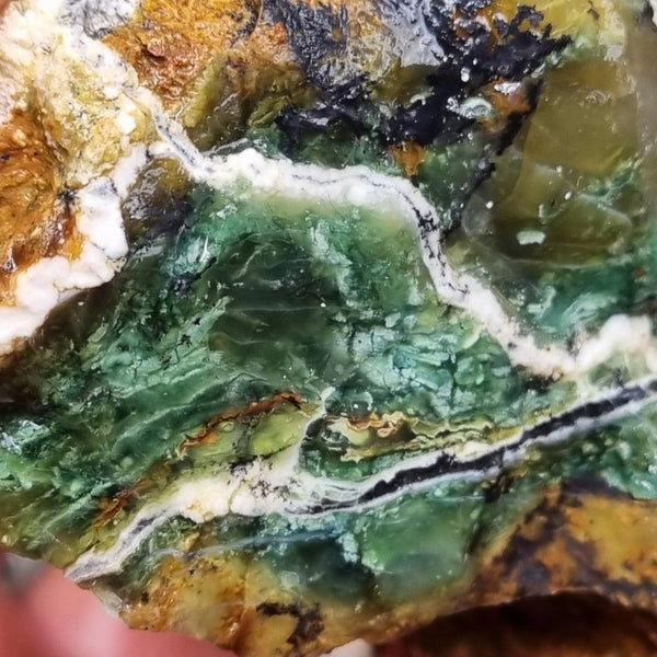 Green Opal  rough.  GOR 108