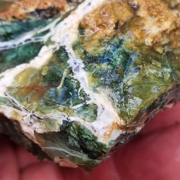 Green Opal  rough.  GOR 108