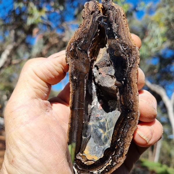 Hematite Geode  HEM127