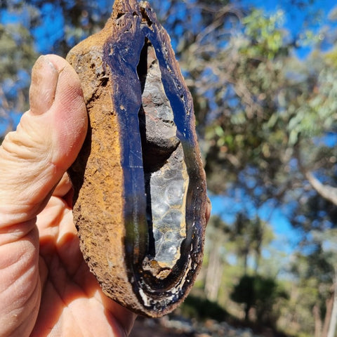 Hematite Geode  HEM127