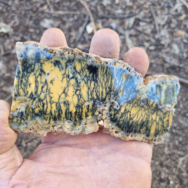 Polished Dendritic Opal slab DO177