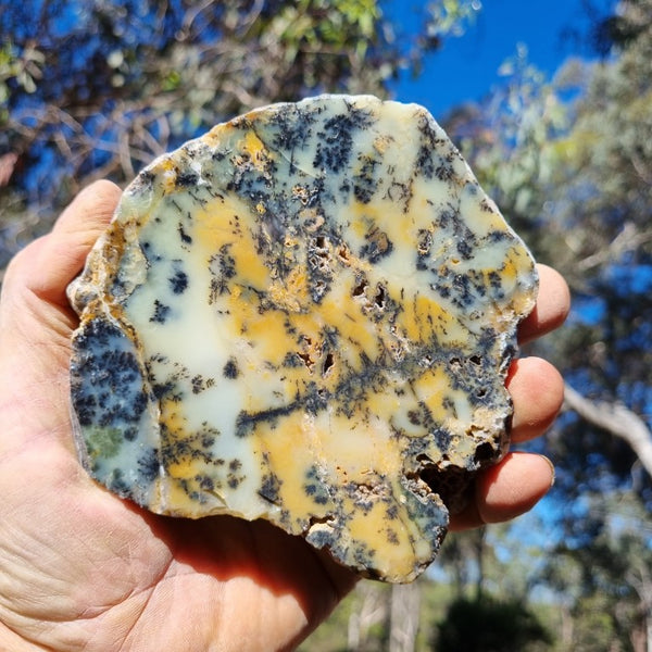 Polished Dendritic Opal slab DO178