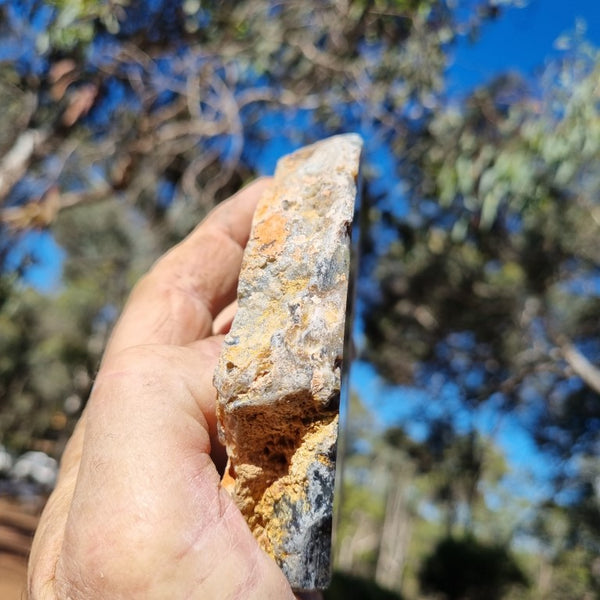 Polished Dendritic Opal slab DO178