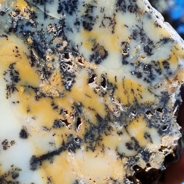 Polished Dendritic Opal slab DO178