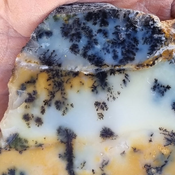 Polished Dendritic Opal slab DO178