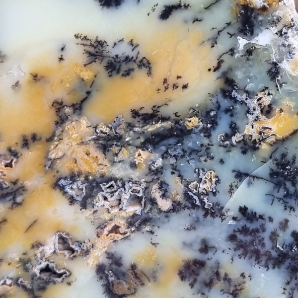 Polished Dendritic Opal slab DO178