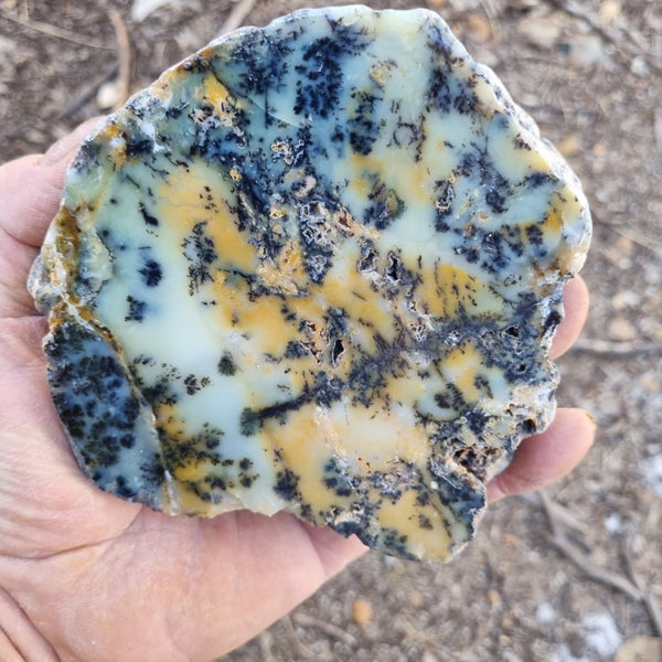 Polished Dendritic Opal slab DO178