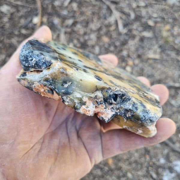 Polished Dendritic Opal slab DO178