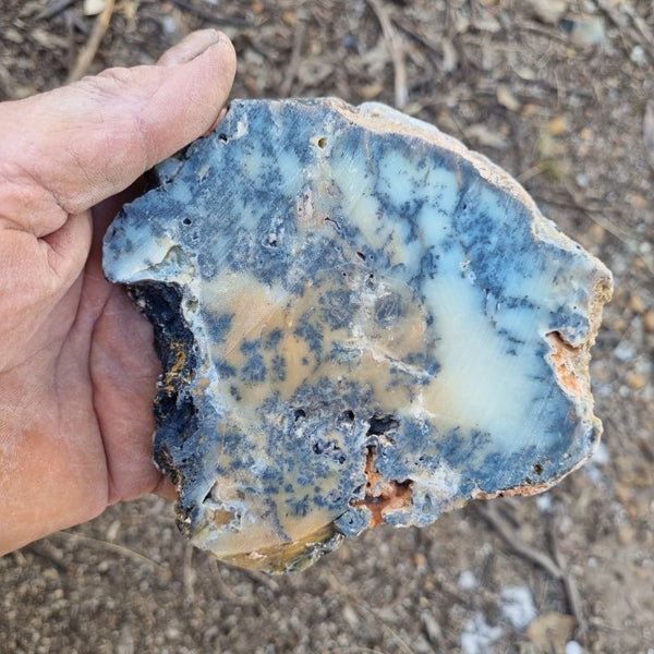 Polished Dendritic Opal slab DO178