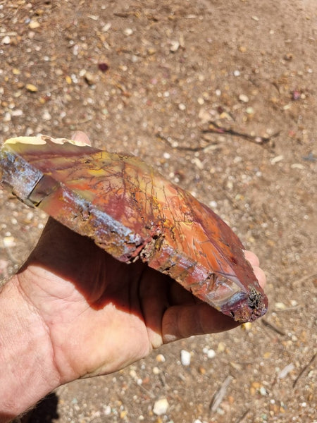 Polished Mookaite slab MK366