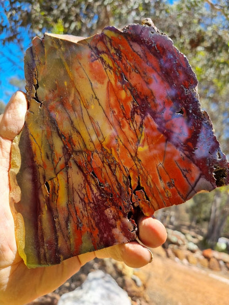 Polished Mookaite slab MK366