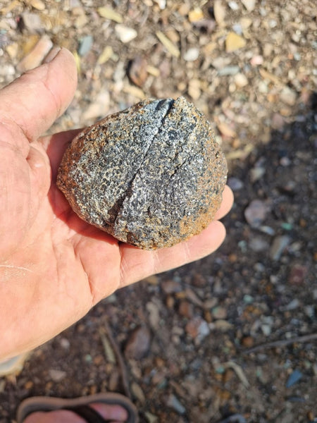 Pair of polished Orbicular Granite. OG174