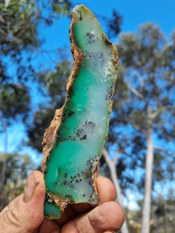 Polished Chrysoprase slab CH418