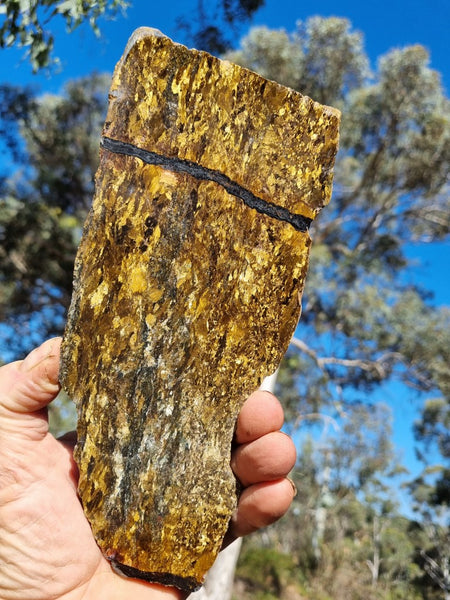 Polished Golden Amphibolite slab GA140