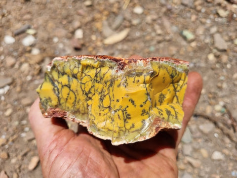 Dendritic Opal  rough.  DOR 198