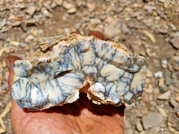 Dendritic Opal  rough.  DOR 199