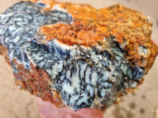 Dendritic Opal  rough.  DOR 202