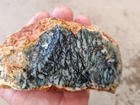 Dendritic Opal  rough.  DOR 206