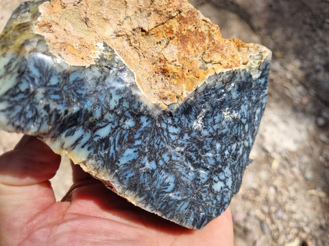 Dendritic Opal  rough.  DOR 207