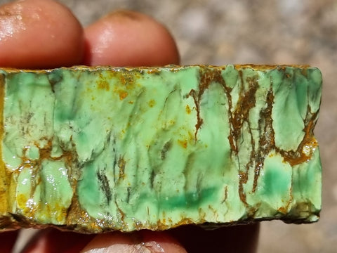 Variscite rough. VR497