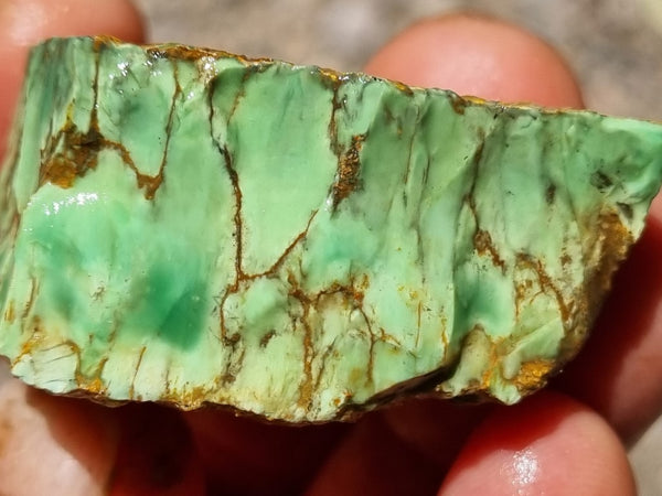 Variscite rough. VR497