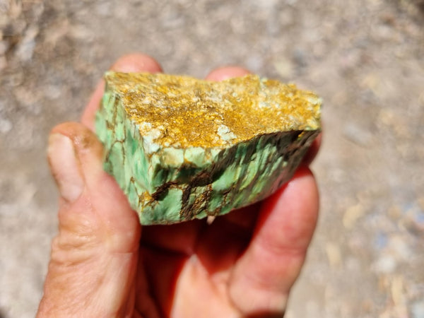 Variscite rough. VR497