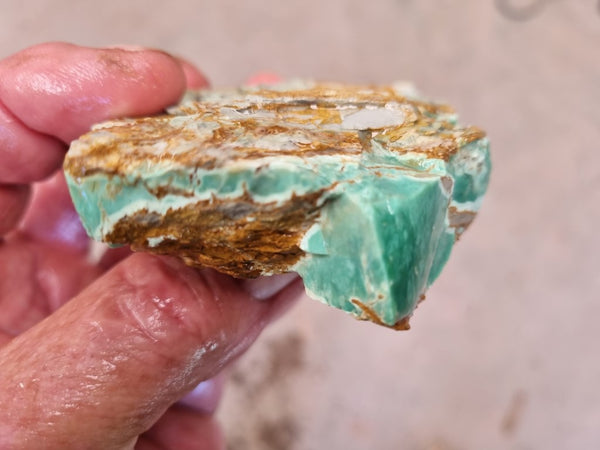 Variscite rough. VR498