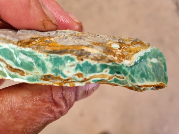 Variscite rough. VR498