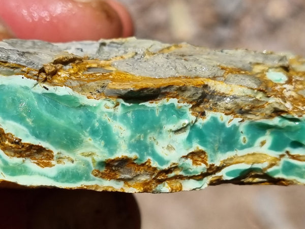 Variscite rough. VR498