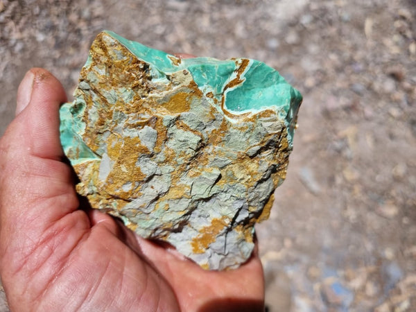 Variscite rough. VR498