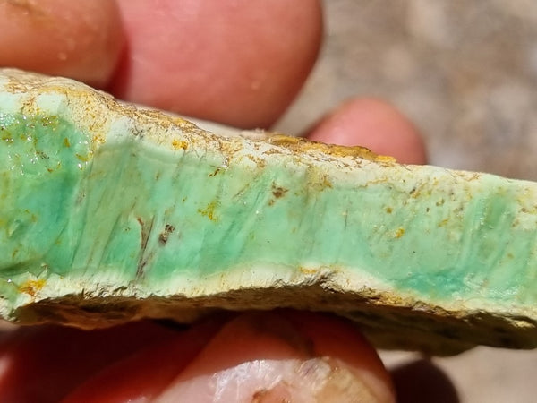 Variscite rough. VR499