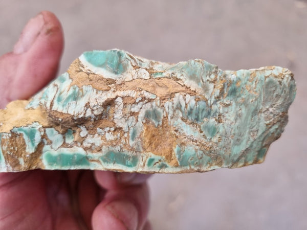 Variscite rough. VR501