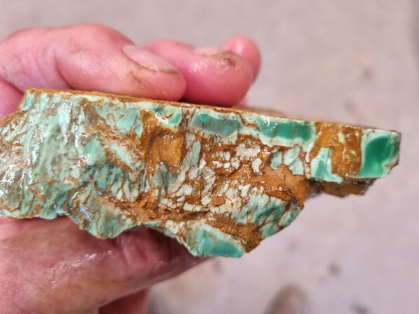 Variscite rough. VR501