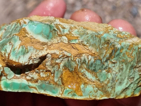 Variscite rough. VR501