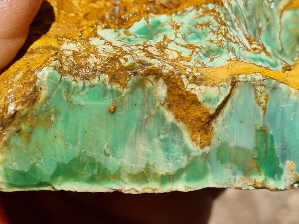 Variscite rough. VR501