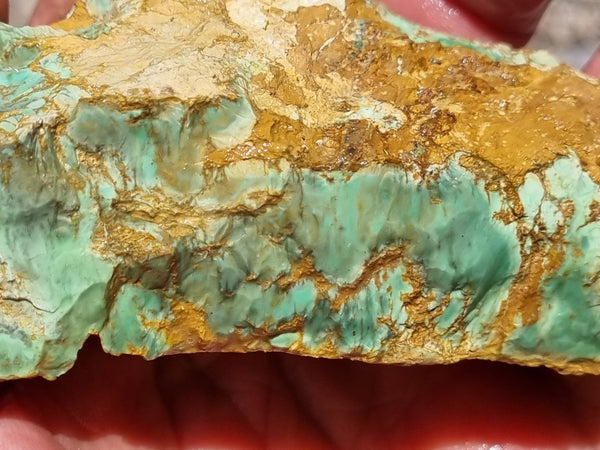 Variscite rough. VR501