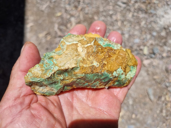 Variscite rough. VR501