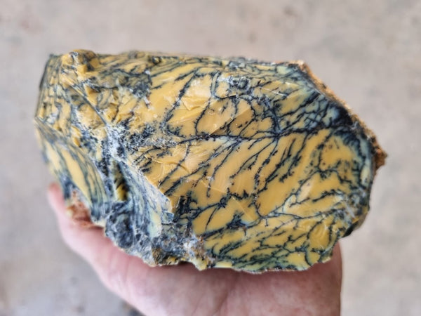 Dendritic Opal  rough.  DOR210