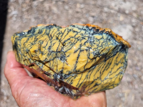 Dendritic Opal  rough.  DOR210