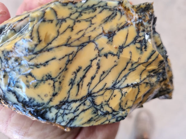 Dendritic Opal  rough.  DOR210