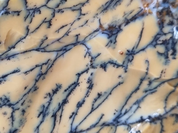 Dendritic Opal  rough.  DOR210