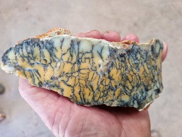 Dendritic Opal  rough.  DOR208