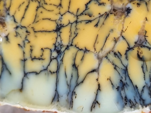 Dendritic Opal  rough.  DOR208