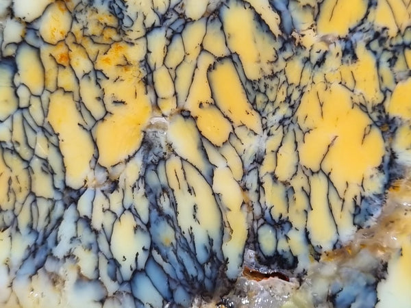 Dendritic Opal  rough.  DOR208